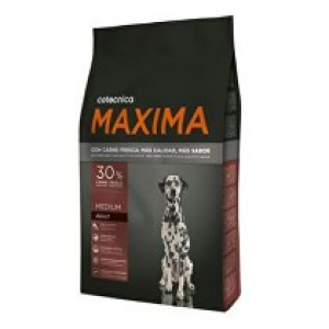 Maxima Dog  Adult Maxi 14kg